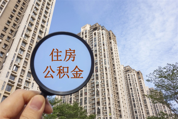 五险一金有社保-枝江公积金服务平台
